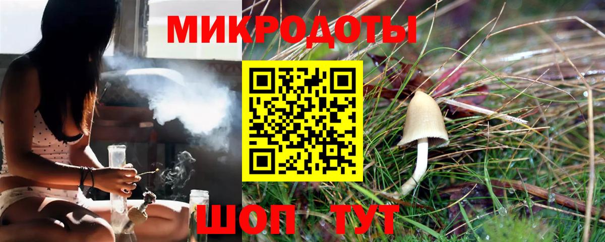 Псилоцибиновые грибы мухоморы Лесозаводск